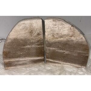 Pair Of Heavy Petrified Wood Bookends
